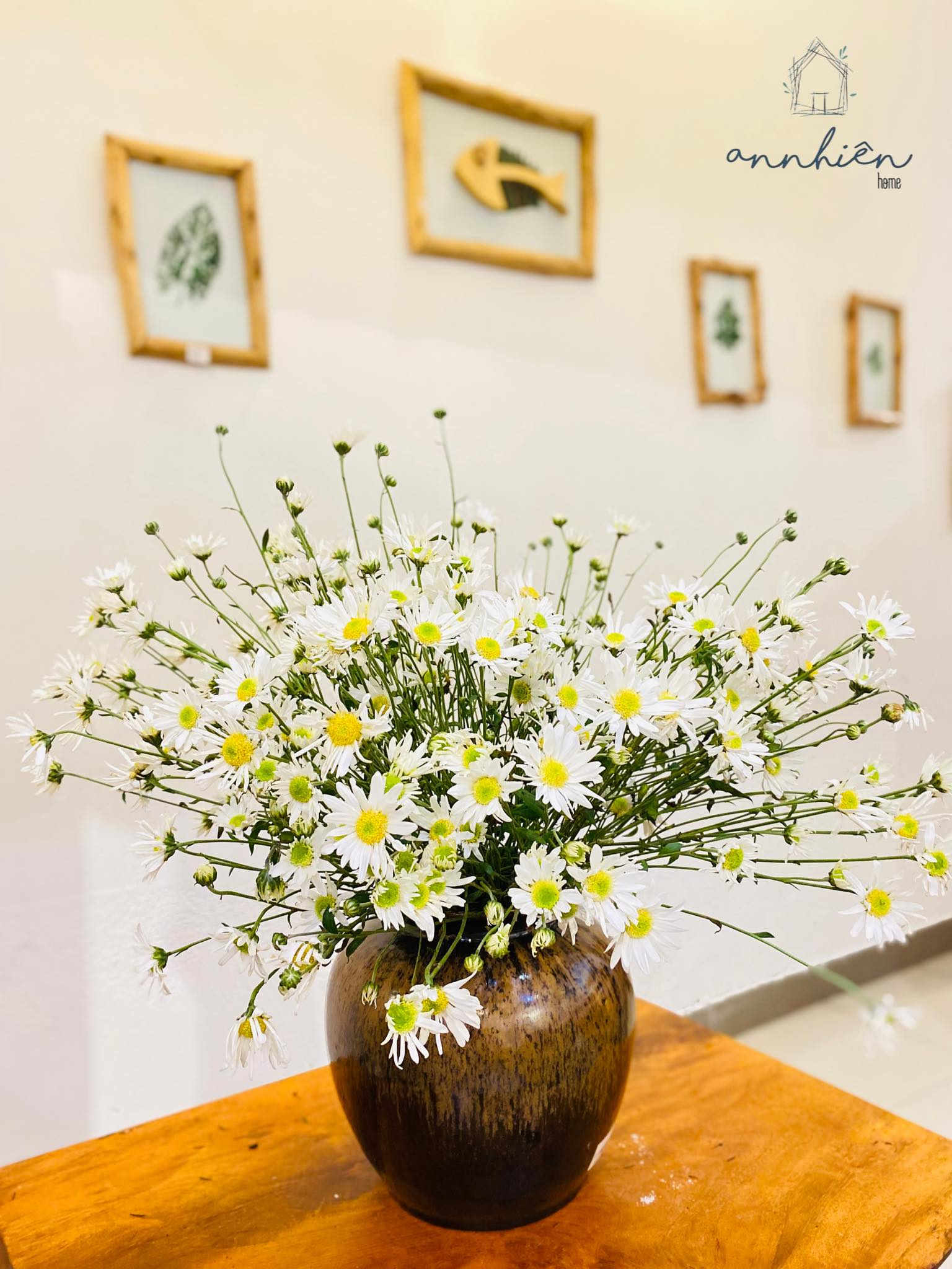 daisies